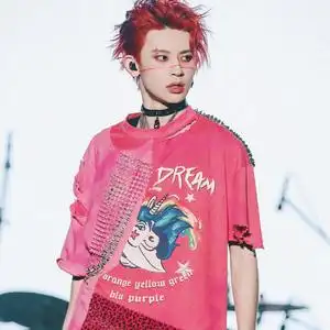 小鬼王琳凯音乐节同款粉色摇滚朋克豹纹柳丁独角兽印花t恤男女潮