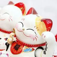 恭喜发财吉祥如意头像_微信头像图片大全