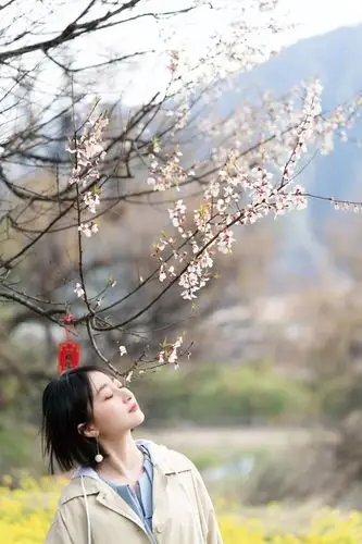 桃花飘漫天,少女心爆炸?