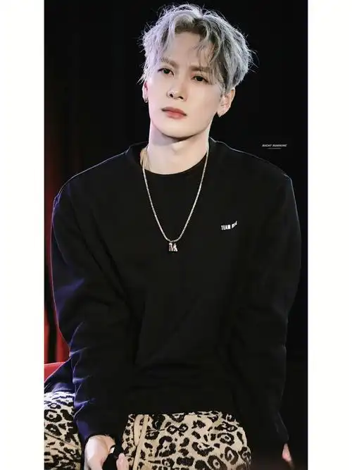 王嘉尔  图:微博搜nightrunning  ,夜跑大佬太会拍了救命嘉尔你是我