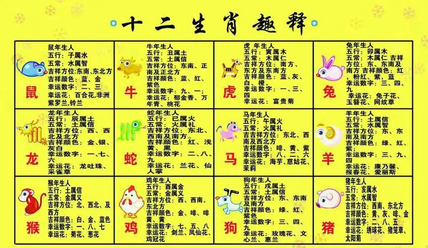 q4:历年十二生肖五行表