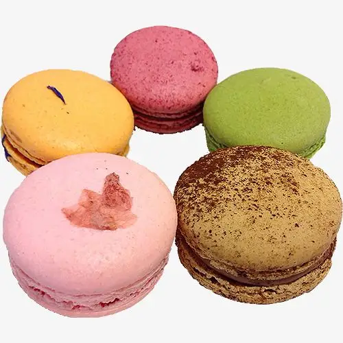 彩色巧克力饼干【高清产品实物png素材】-90设计