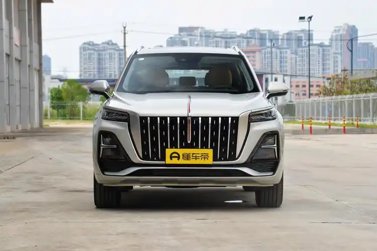 过年了,开着我的全新红旗hs5回家,真有面子