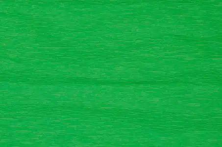 绿色的绉纸背景照片