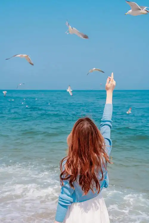 女孩背影 棒棰岛海面上海鸥飞翔图片下载