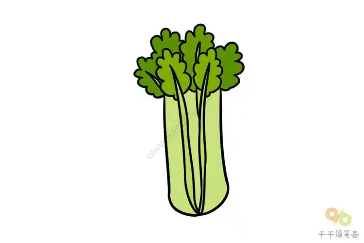 好吃又营养的芹菜简笔画大全值得收藏