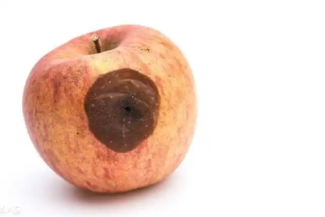 部分腐烂的苹果致不致癌肿瘤专家给出了答案