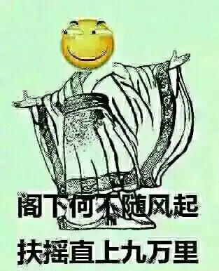 浦东看起来就像个外地城市