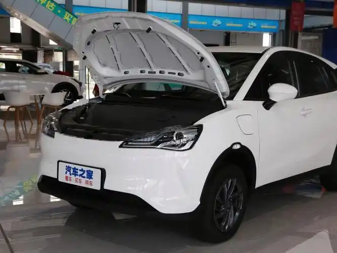 合众汽车 哪吒v 2021款 标准续航娱乐版升级型