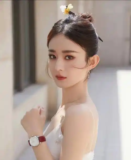 赵丽颖主演电视剧照片_电视剧赵丽颖主演的电视剧新剧_电视赵丽颖主演