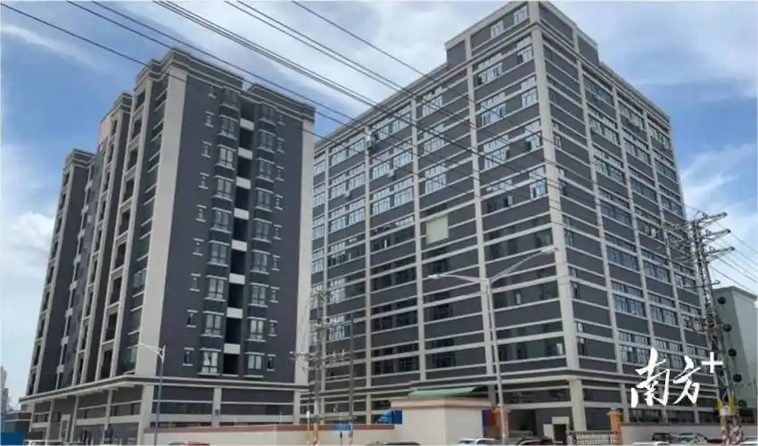 聚焦百千万工程埔心村旧改更新拓空间惠民增收促振兴