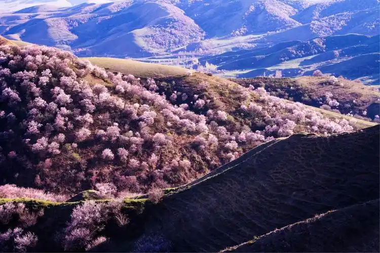 美了,美了,我梦中的大西沟,福寿山