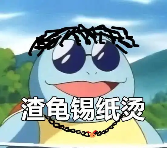 宝可梦杰尼龟画头发男龟锡纸烫女龟大波浪绿龟公主切