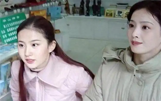 "刘亦菲妈妈"刘晓莉传奇的一生,两婚两离,为捧红女儿牺牲太多|陈金飞