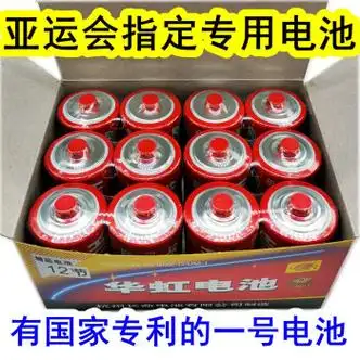 cbcb适用于华虹1号大号电池24粒r20s一号电池燃气灶热水器玩具15v华虹