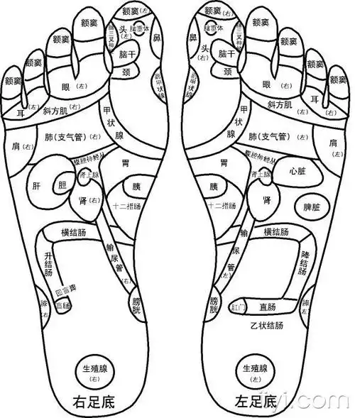 反射区图谱 - 中医针推外治版 - 爱爱医医学论坛