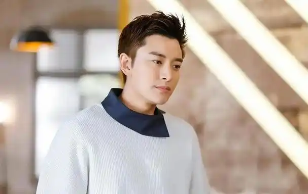 贾乃亮:工作狂魅力与朴实生活的完美结合