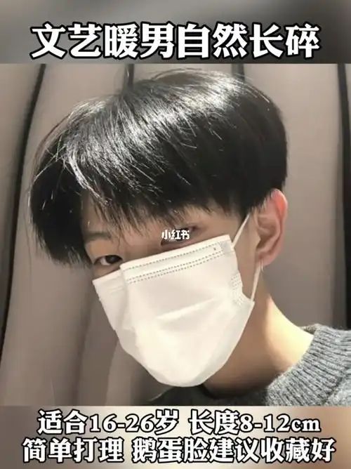 男士发型长碎盖