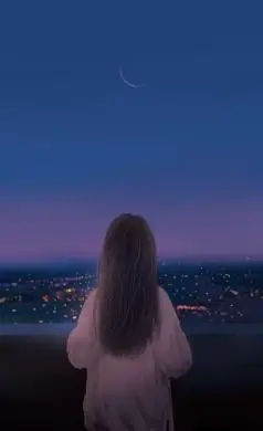 一个长发女孩的背影,他正望着灯火辉煌的城市