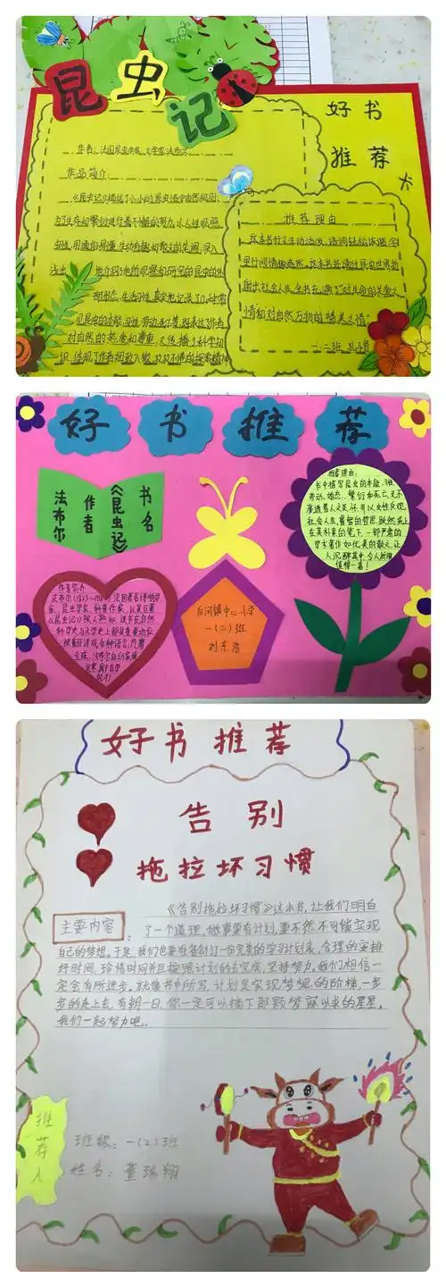 寻找阅读的乐趣——后河镇中心小学好书推荐卡