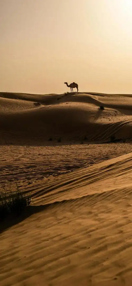 18张沙漠风景高清手机壁纸
