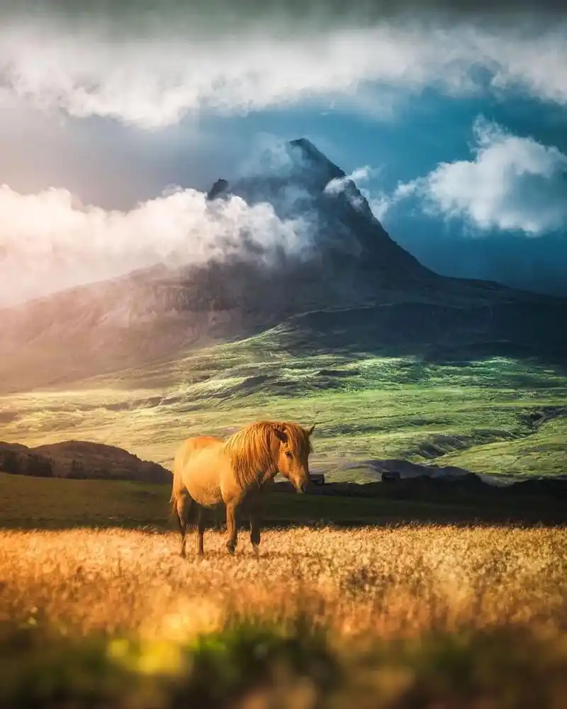 全球最美风景.#超清壁纸#手机壁纸#高清壁纸#春日图文伙伴计 - 抖音