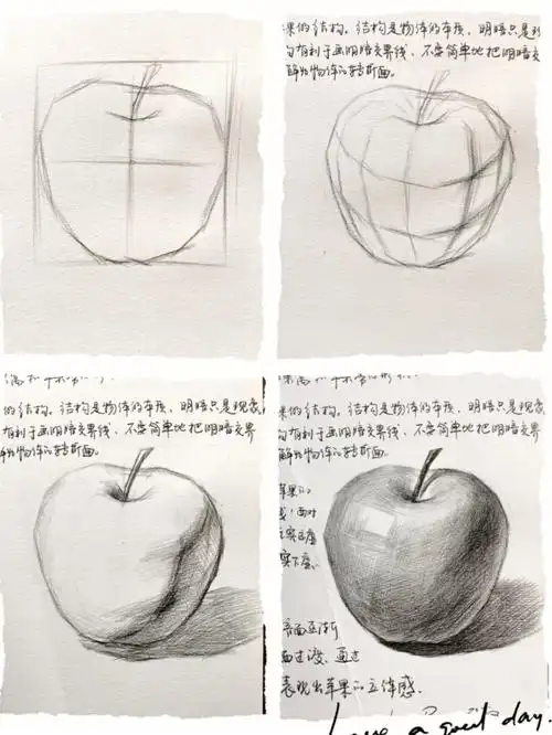 素描初学者,五步结构分析,画好素描苹果不是问题.
