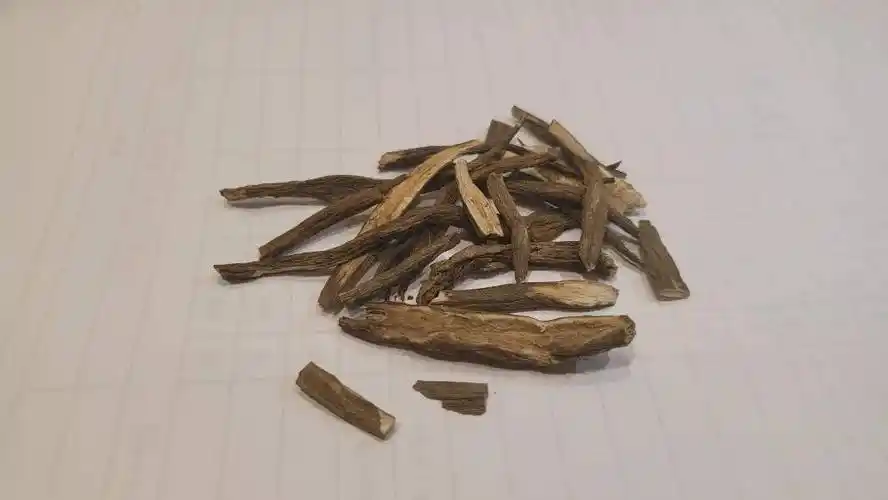 中药_功效_阳气