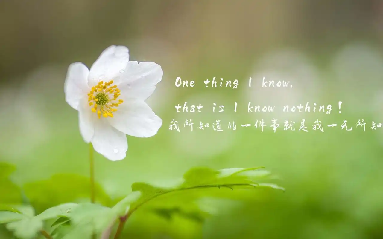 宽屏,唯美,小清新,文字,语录,励志 文字控唯美小清新宽屏桌面壁纸.