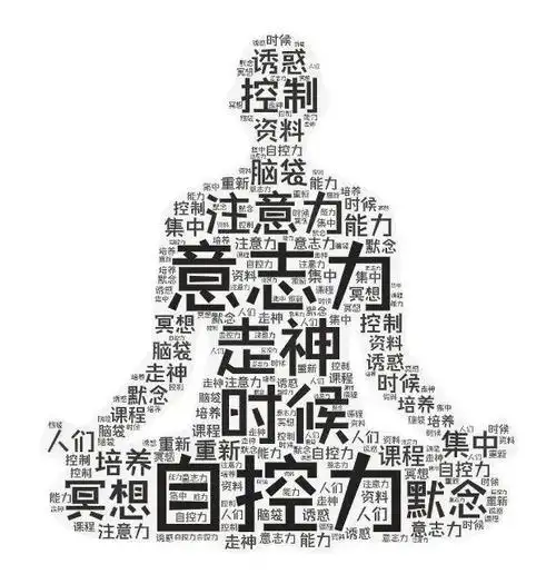 书籍推荐|《自控力》