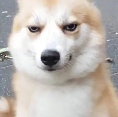 薛之谦邪魅一笑