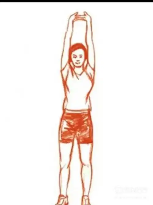 每天坚持8个拉伸动作让你长高5公分