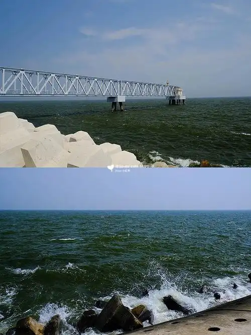 天津l夏天一起看海吧天津的那种