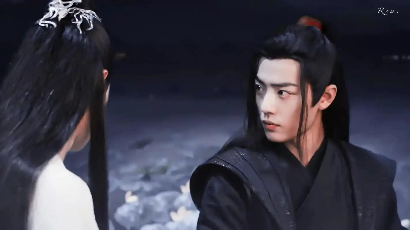 陈情令肖战王一博  - 麦麦 - 抖音