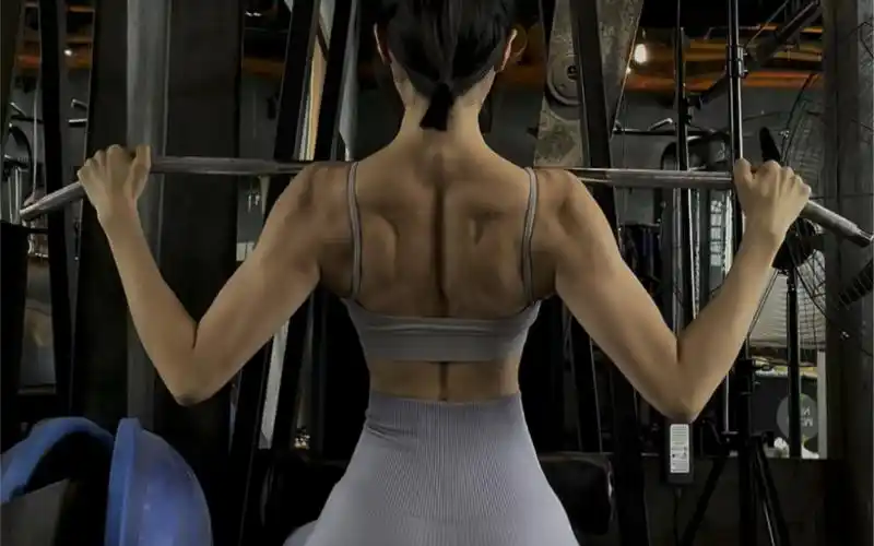 背部训练—高位下拉