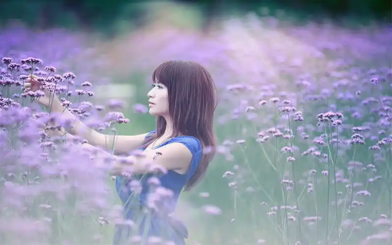 薰衣草唯美梦幻美女浪漫写真桌面壁纸