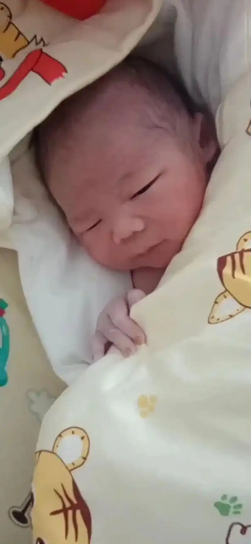 升级了!先为子,再为夫,后为父,喜得贵子,本是皆大欢喜,但十 - 抖音