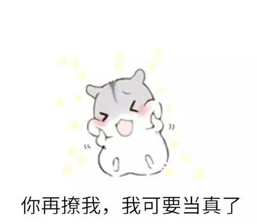 仓鼠表情包你再撩我我可当真了