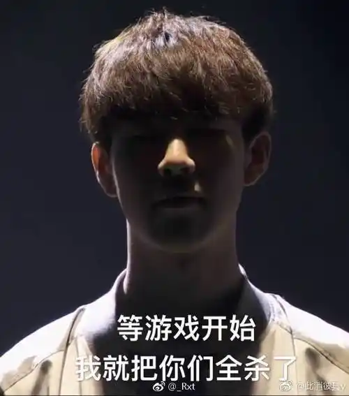 s8全球总冠军ig表情包-3