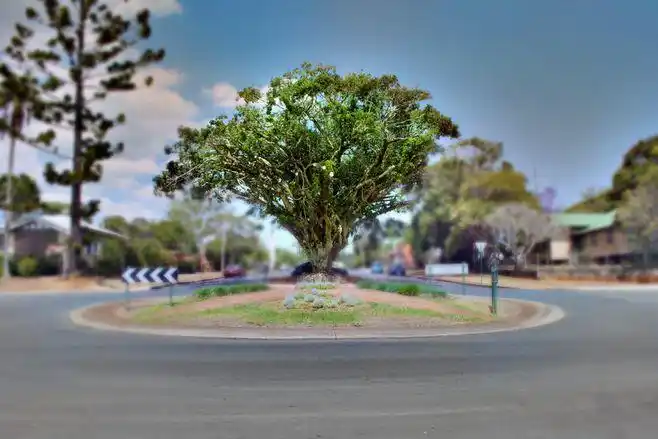 traffic island - google 搜索