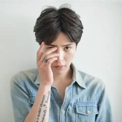 奥丝儿真发假发男韩版帅气中分刘海短直发蓬松修脸逼真个性