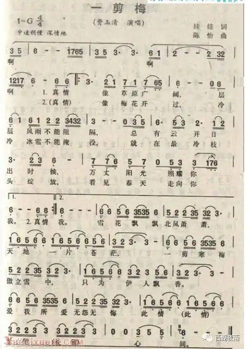 经典洞箫谱8期之流行歌曲