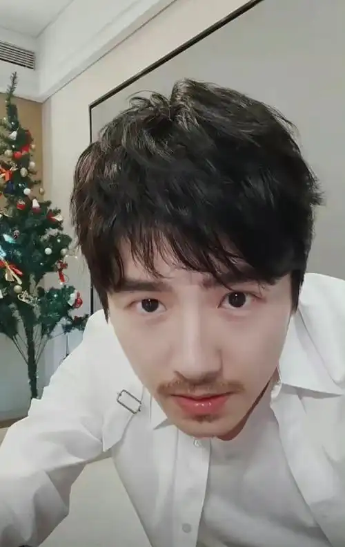 刘昊然胡须造型