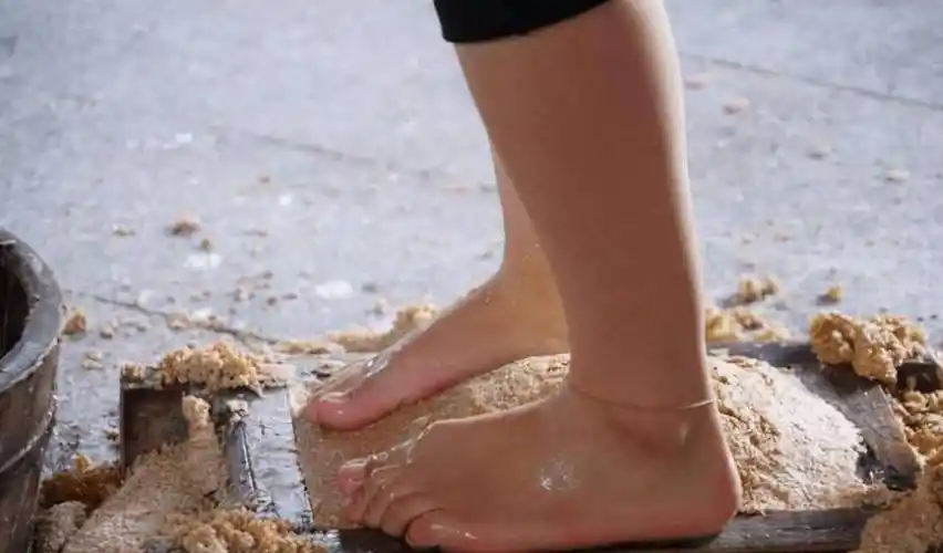 茅台女工"光脚踩曲"被拍,照片在网上引起热议:难怪员工不偷喝_李长寿