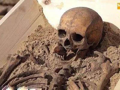 人死后只有这个部位不会腐烂