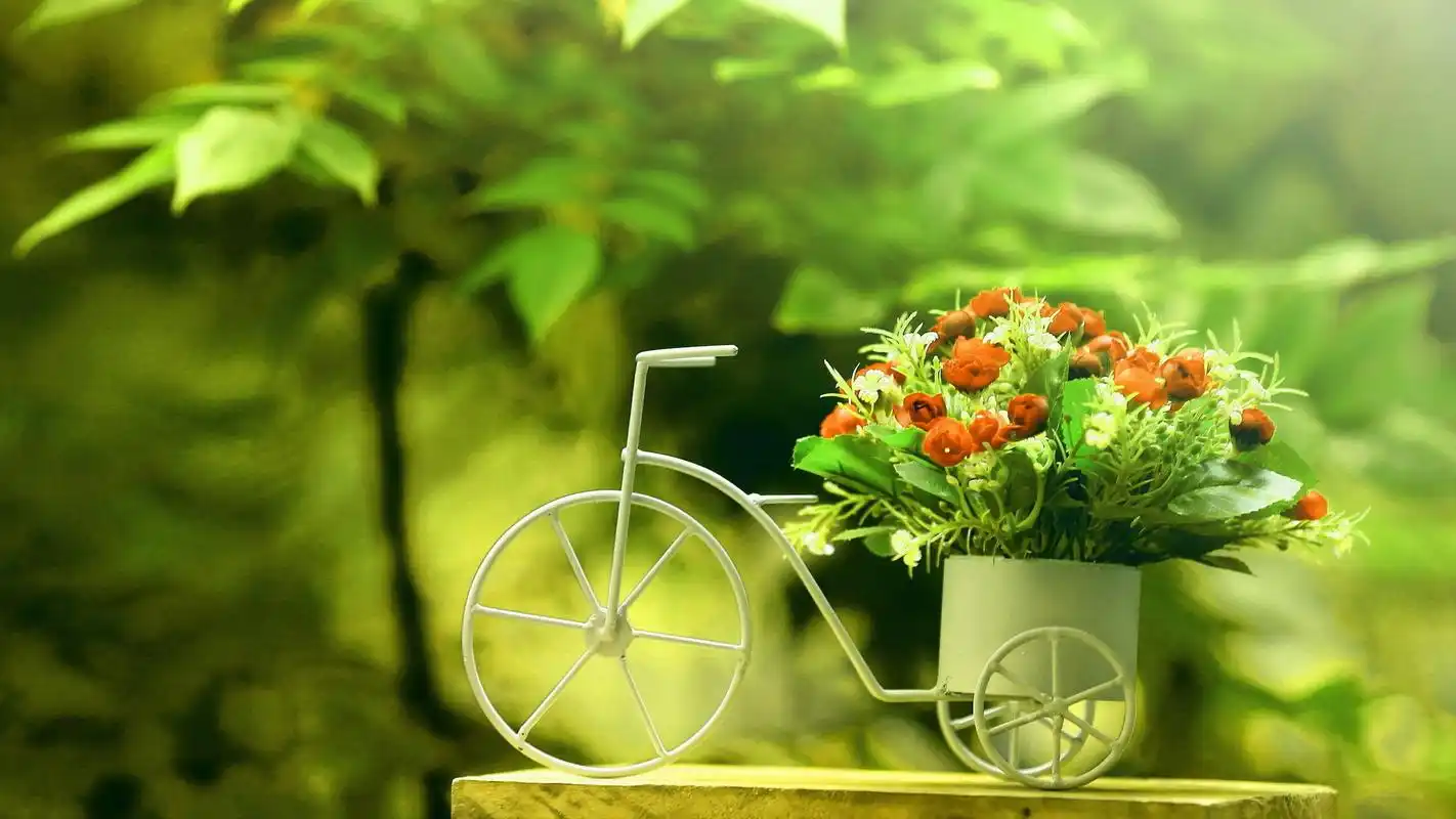 绿色清新护眼的风景图片桌面壁纸_风景壁纸_壁纸下载_美桌网