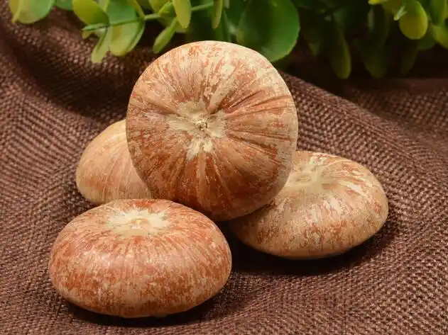 壮阳果泡茶要去壳吗