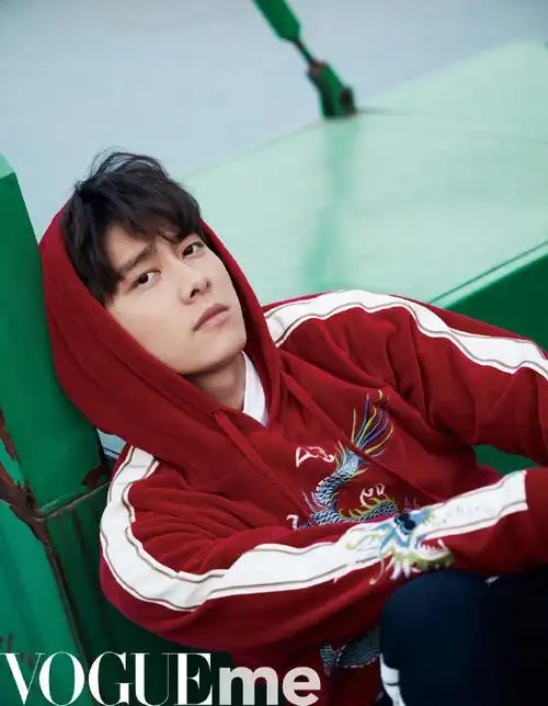 挑战每天按相册顺序发一张李易峰的照片