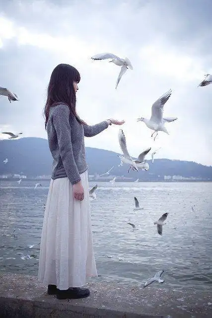 写给十二星座的故事