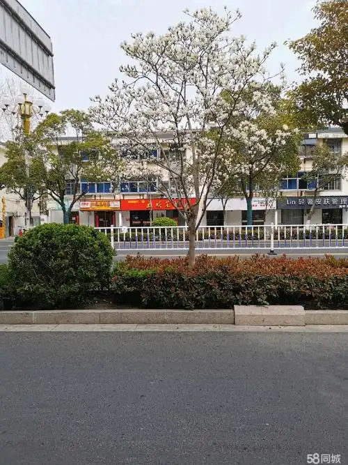 阜宁阜城大街阜宁东方广场世福园世福园 3室2厅1卫出租房源真实图片